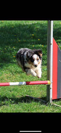 Photo from customer review