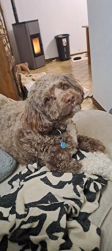 Photo from customer review