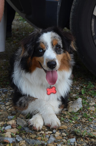 Photo from customer review