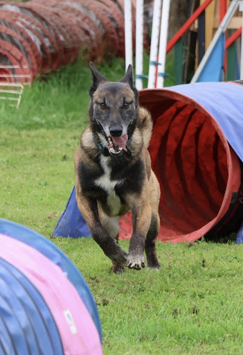 Photo from customer review