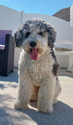 Photo from customer review